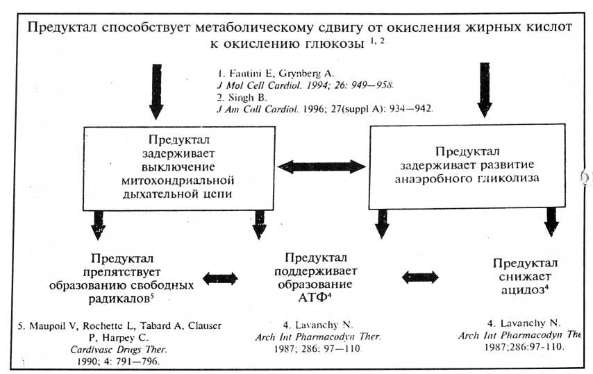 Предуктал од действие