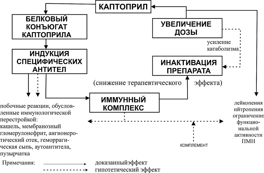 Механизм действия кашля. Каптоприл нежелательные реакции. Механизм действия каптоприла схема. Побочные эффекты каптоприла.