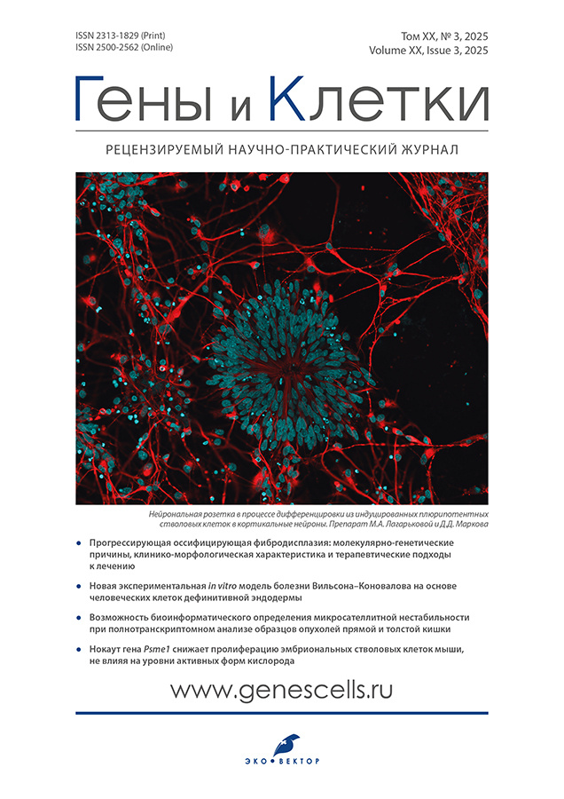 Логотип Заголовка Страницы